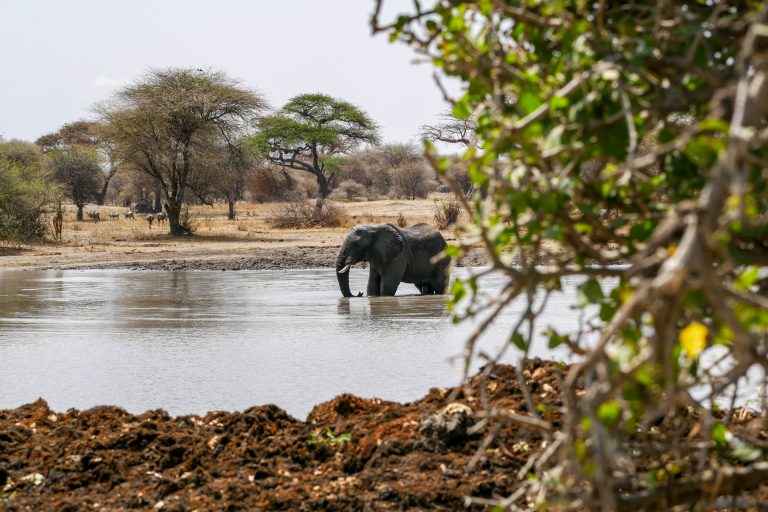 Tarangire National Park