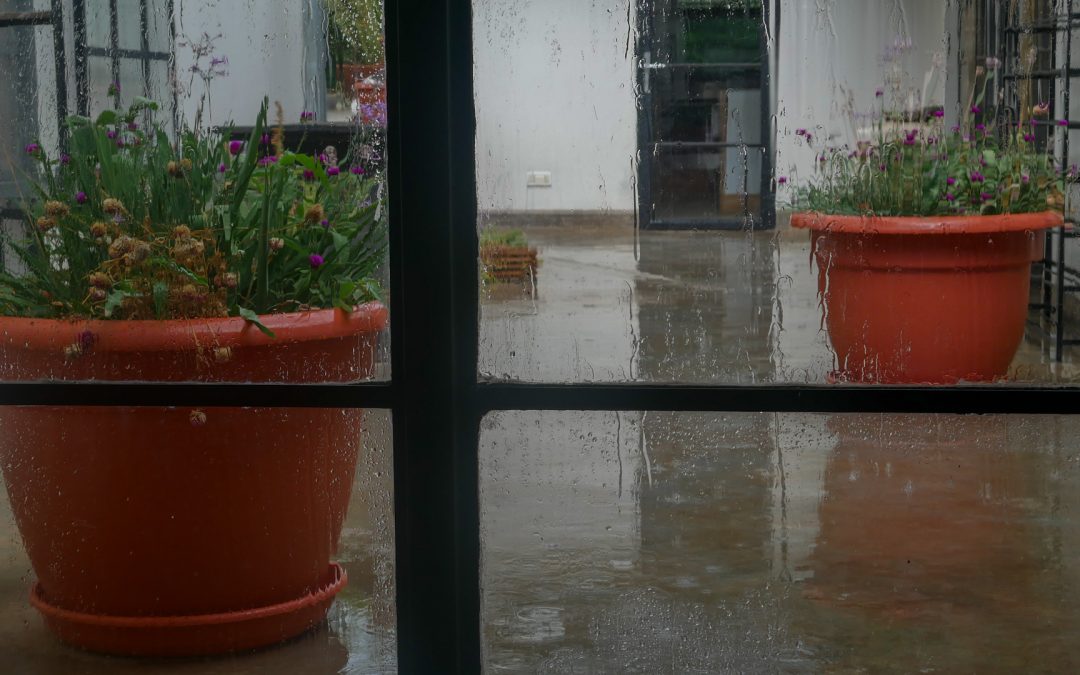 Regen in Arusha