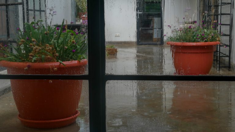 Regen in Arusha