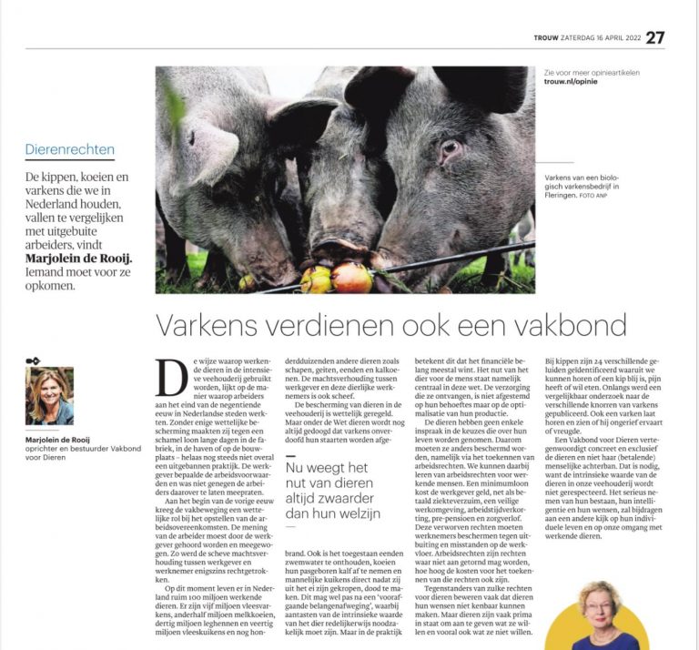 Opinie artikel Trouw