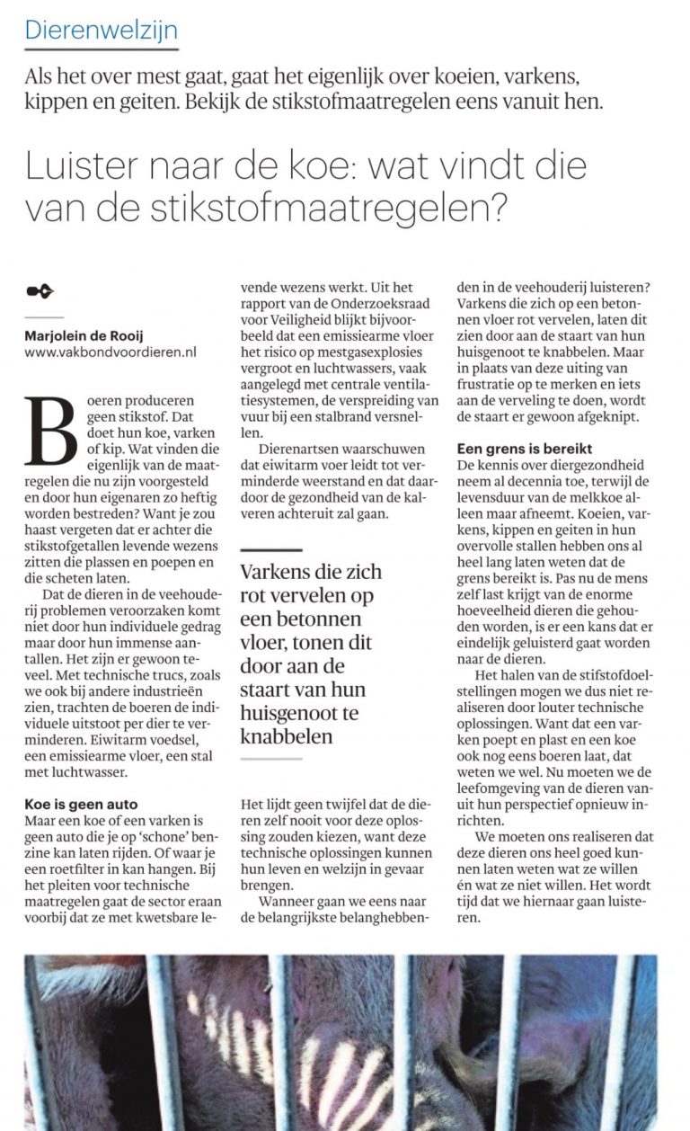 Wat vindt de koe van de stikstofmaatregelen?