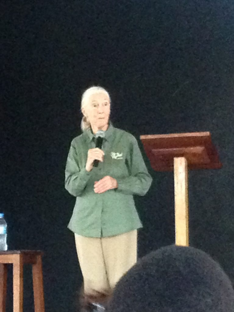 Jane Goodall: ‘Het slimste wezen op aarde vernietigt de enige aarde die zij heeft.’