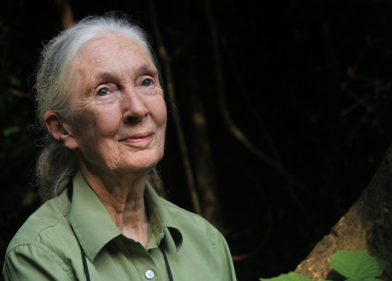Luisteren naar Jane Goodall
