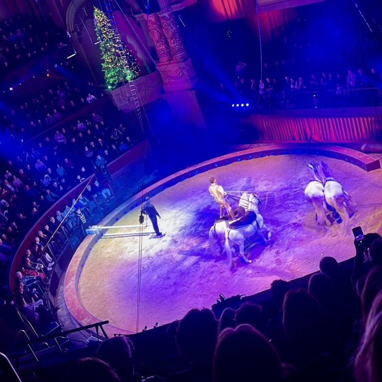 Paarden horen niet in het circus