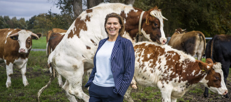 Groot interview in regionale dagbladen