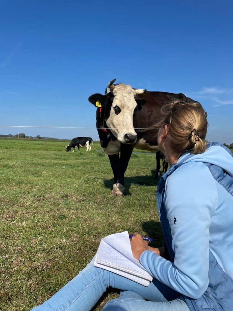 Koeientaal in de klas