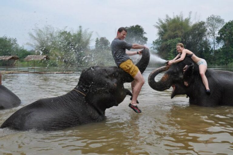Dierentoerisme is dierenleed