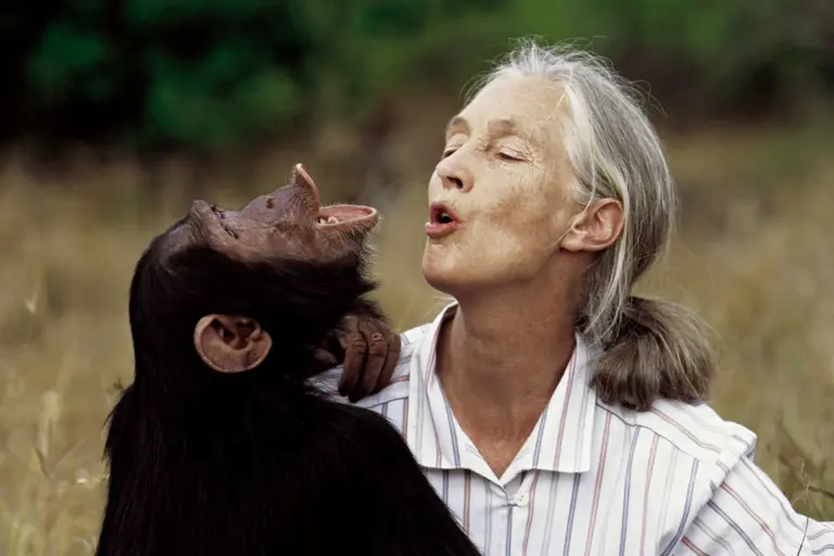 Jane Goodall introduceerde de vrouwelijke blik in de wetenschap